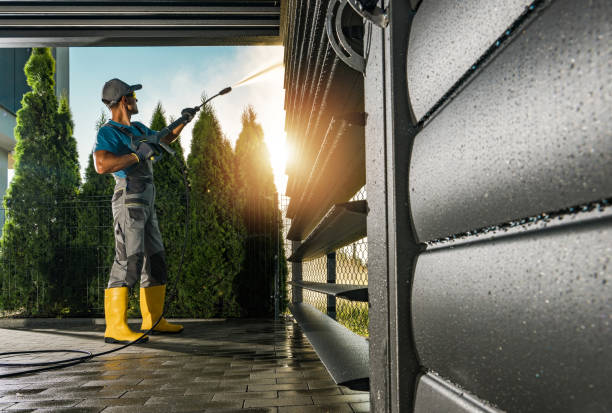 Best Soft Washing for Delicate Surfaces in Santa Anna, TX